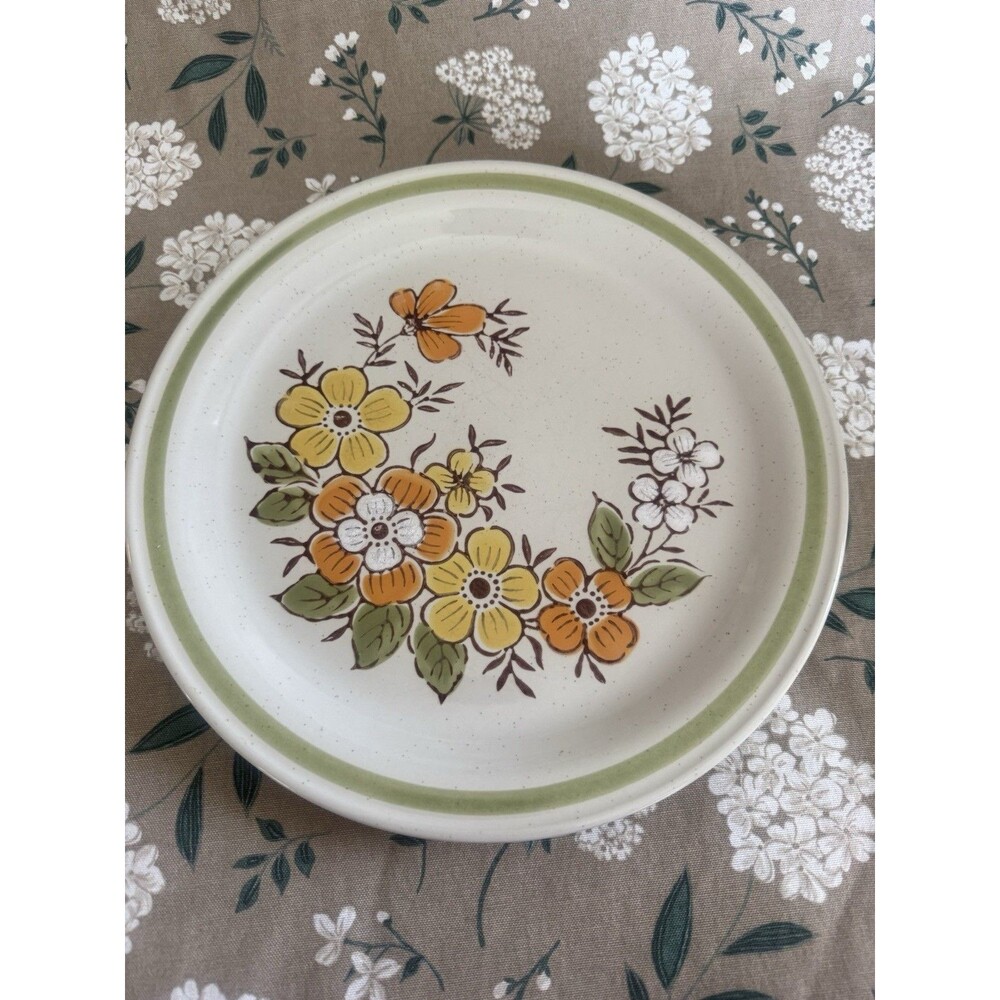 VINTAGE! 1970's Japanese Hand-Painted Stoneware by Country Casual Dinner Plate